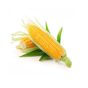 Sweet Corn 1 pc